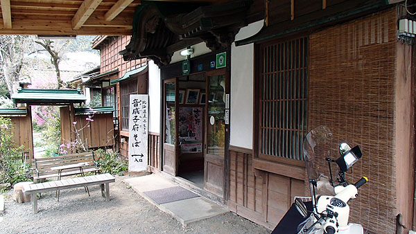 音威子府そばが食べられるお店